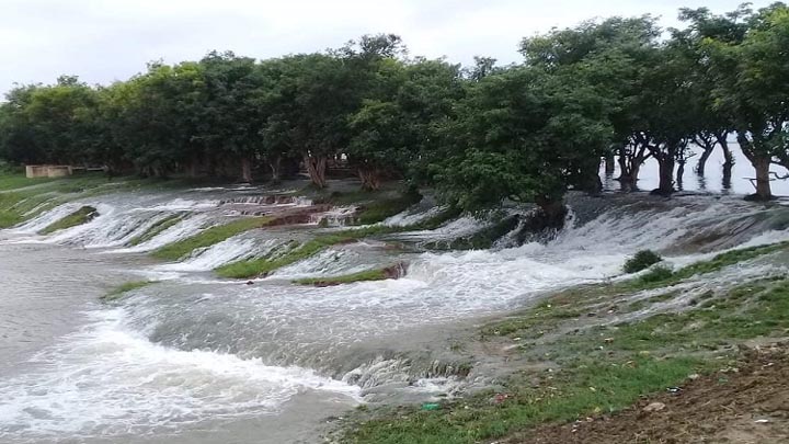 বাঁধ উপচে পানি ঢুকছে হাওরে, ঝুঁকিতে ২ হাজার হেক্টর জমির ফসল